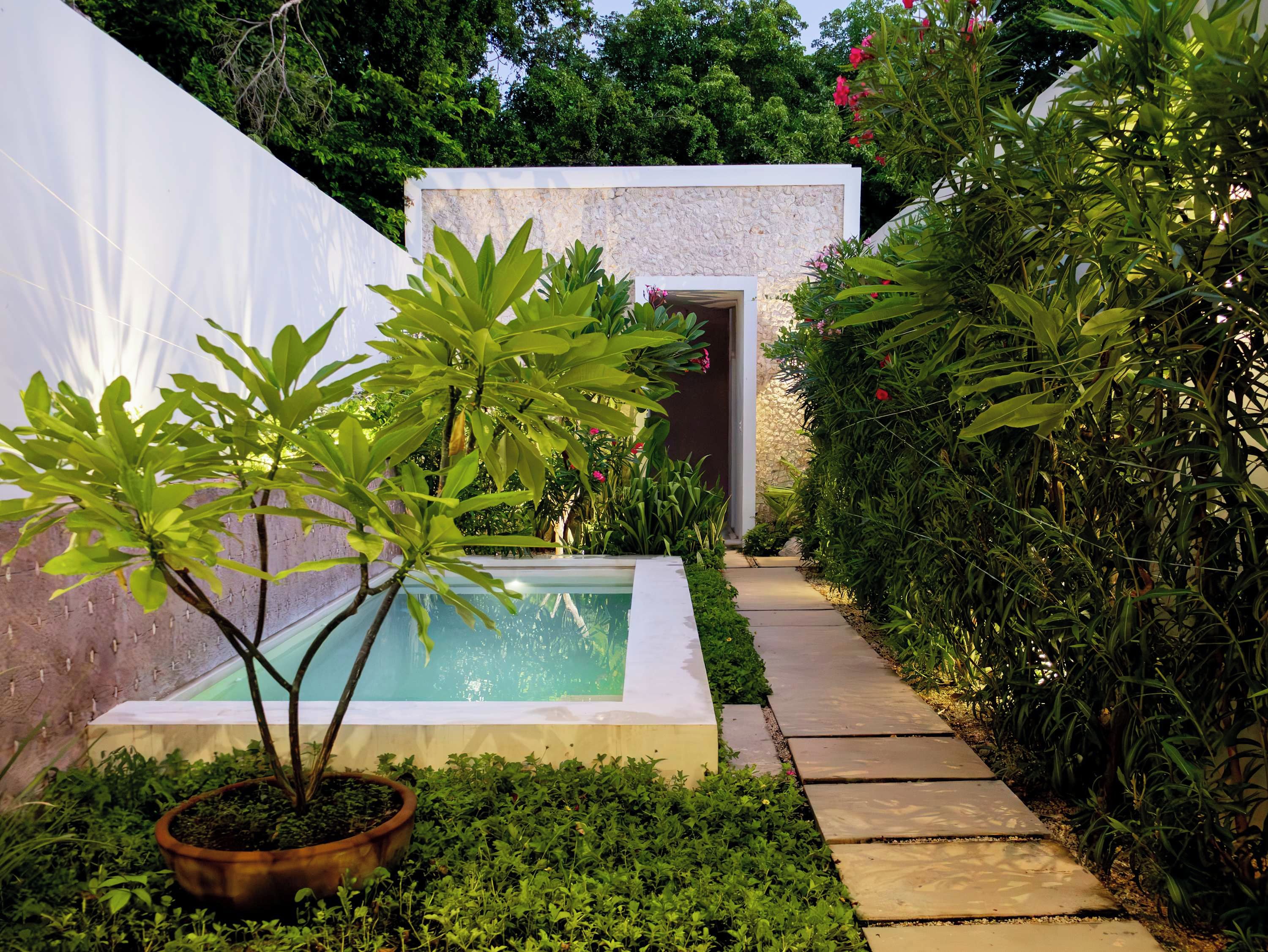 Pequena piscina com muro de pedra e plantas em vasos.