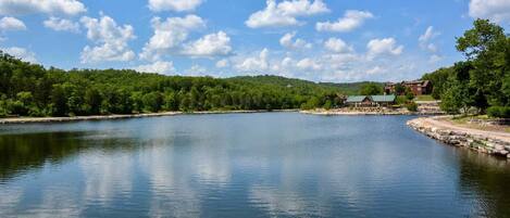 A calm lake with a wooden dock, surrounded by dense green trees and a clear sky.