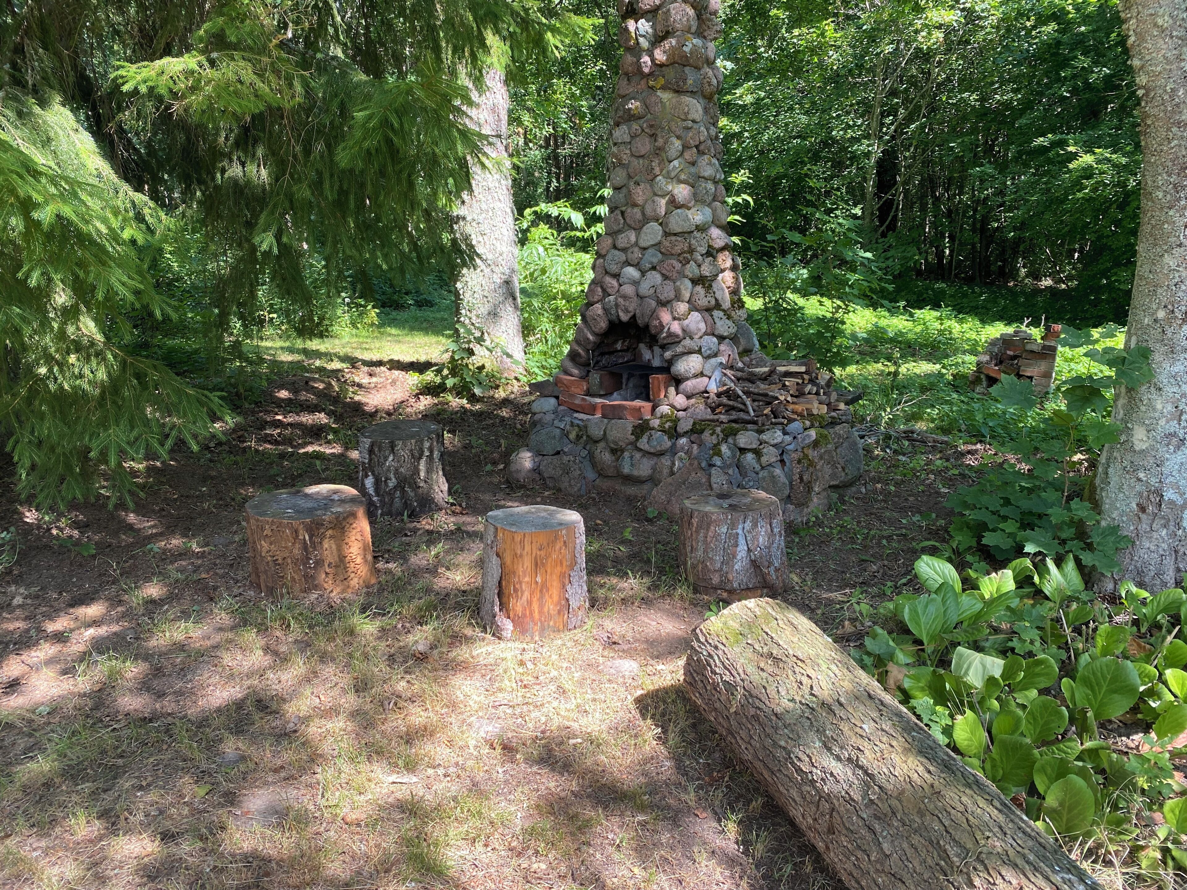 Chimenea de piedra al aire libre rodeada de árboles y leña.
