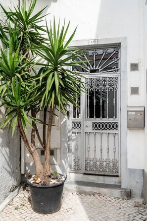 Una planta en maceta con un árbol y un arbusto junto a un edificio blanco con una reja metálica decorativa.
