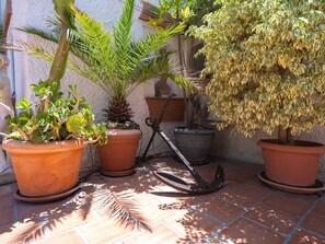 Verschiedene Topfpflanzen auf einer gefliesten Terrasse.
