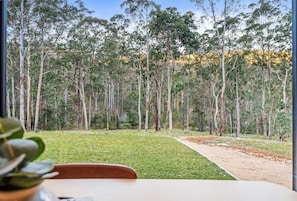 A view of a forested area with a dirt path leading through it, visible from a window with a table and a plant in the foreground.