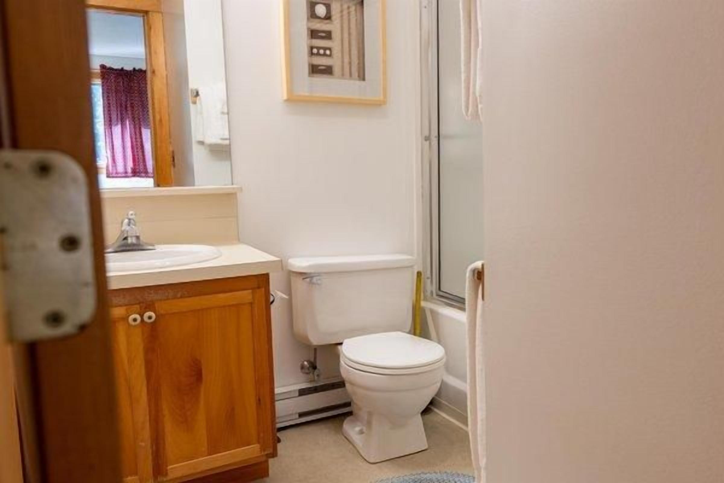 Ein Badezimmer mit Toilette, Waschbecken und einem Holzschrank.