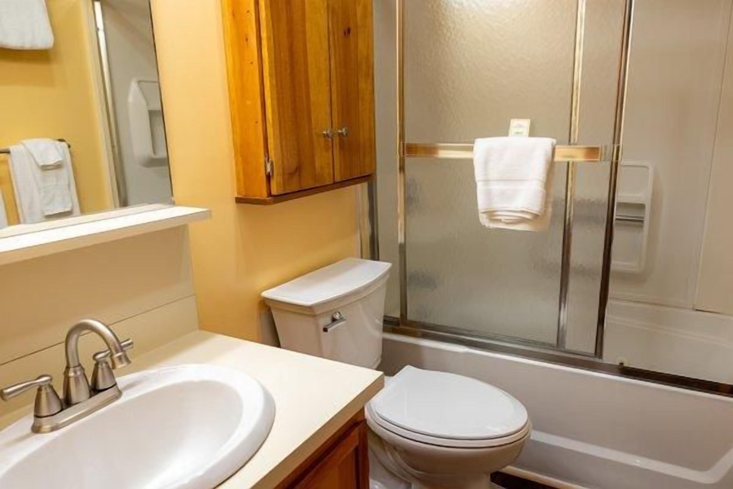 Ein Badezimmer mit Waschbecken, Toilette und Duschbereich.