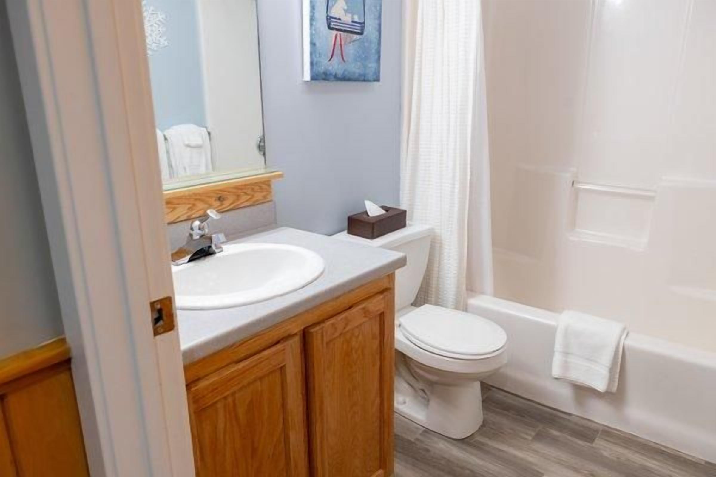 Een badkamer met een wastafel, toilet en douche.