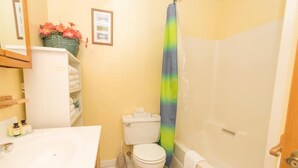 A bathroom with a toilet, sink, and shower. - Sugarloaf Mountain Birchwood II C827 (Carrabassett Vly)