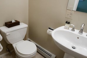 A bathroom with a toilet, bidet, sink, and a mirror. - Sugarloaf Mountain Snowbrook Village C2667 (Carrabassett Vly)