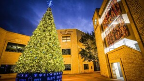 A large Christmas tree with lights in front of a building labeled 'Round Rock City Hall.' - Spacious Luxe Retreat for family and groups Austin (Round Rock)