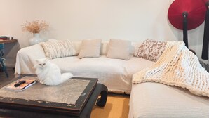 A cozy living room with a sofa, a coffee table, and a cat.
