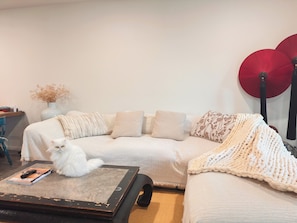 A cozy living room with a sofa, a coffee table, and a cat.