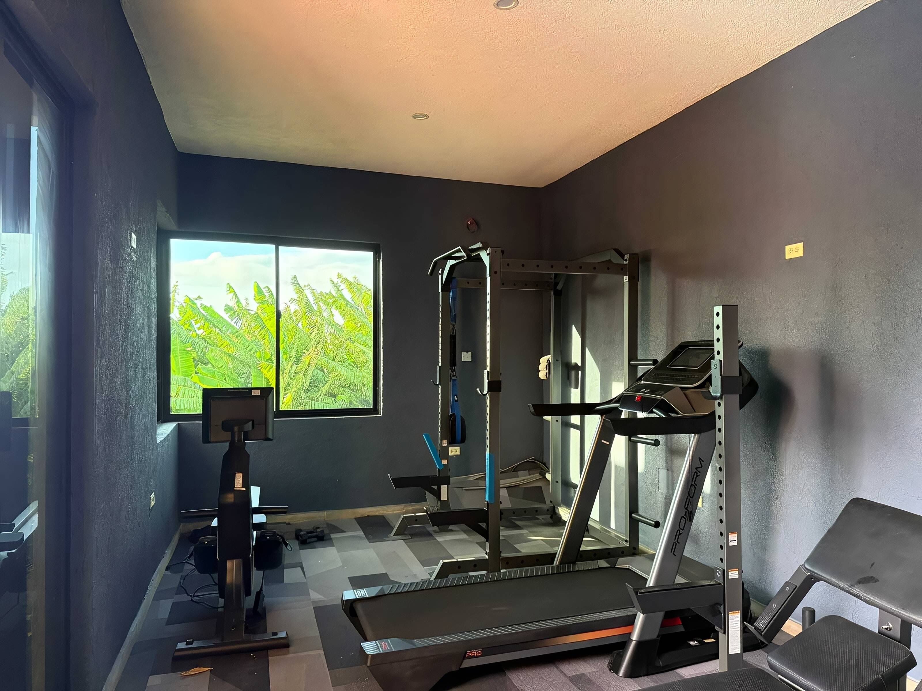 A gym with a treadmill, weight bench, and a window with a view of greenery.