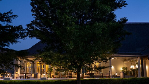 Un hotel con posti a sedere all'aperto, un grande albero e un ingresso ben illuminato.
