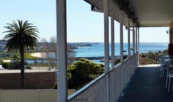 Un espacio al aire libre cubierto con vista al mar, una palmera y un patio con sillas.