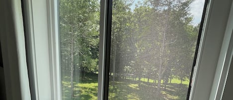 Ein Fenster mit Blick auf eine Wiese und Bäume.