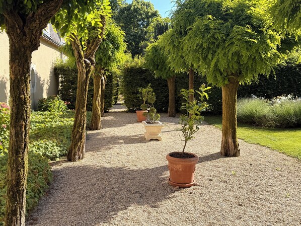 A gravel pathway flanked by trees and potted plants, leading to a building with a white facade.