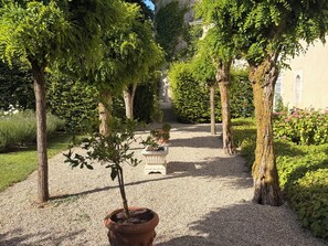 A garden pathway with trees and a potted plant.
