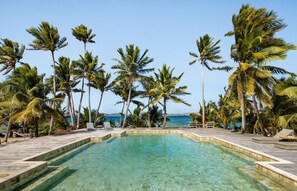 A clear pool surrounded by palm trees with a view of the ocean.