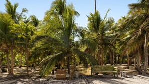 A wooden deck surrounded by palm trees.