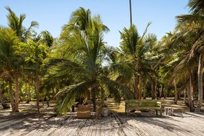 A wooden deck surrounded by palm trees.