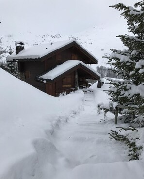 A wooden cabin with a snow-covered roof and a snow-covered path leading to the entrance.