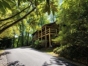 Une route goudronnée mène à une construction en bois, entourée d’une végétation dense.