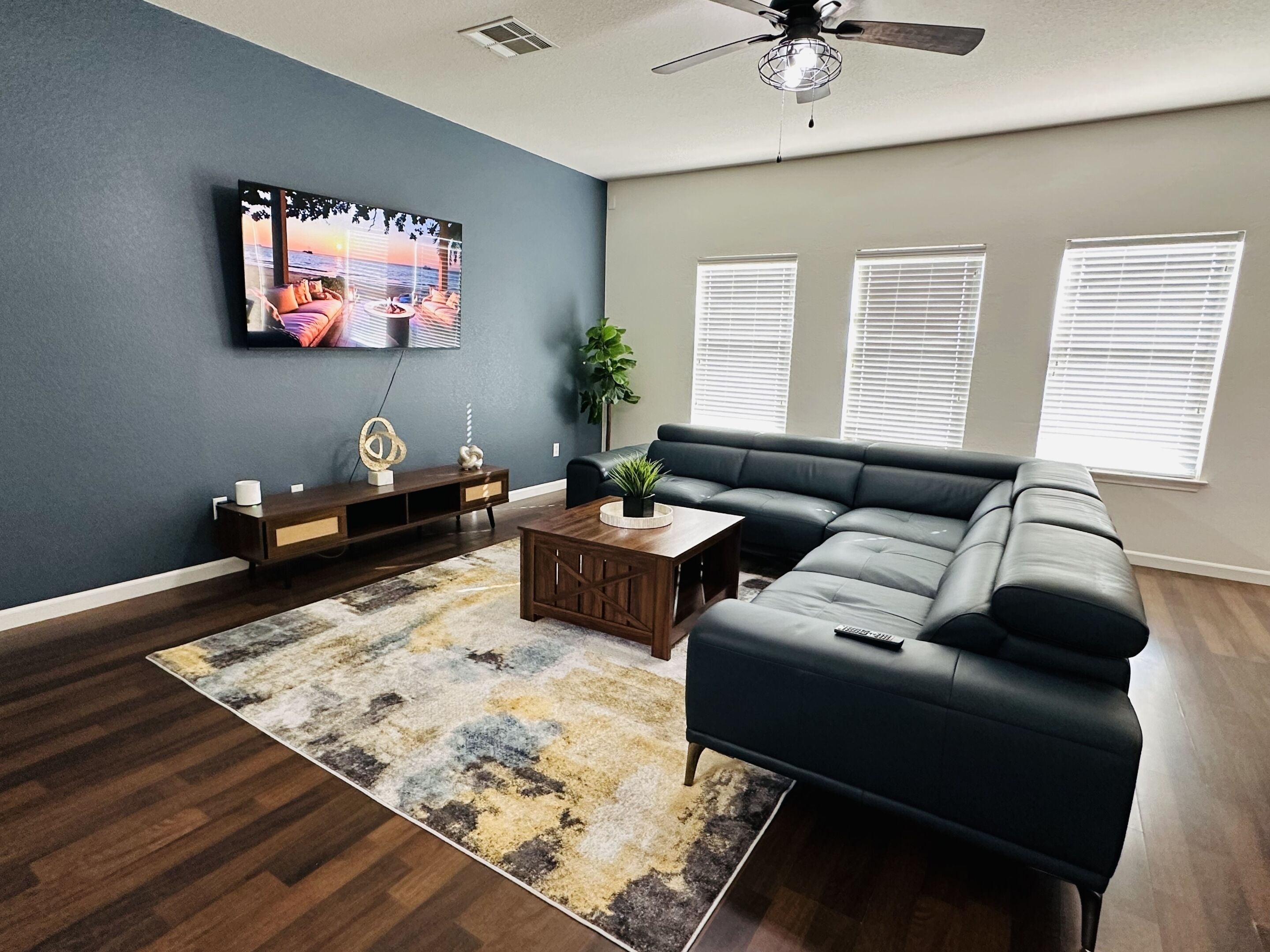 TV