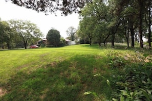 A grassy area with trees and a building in the background.
