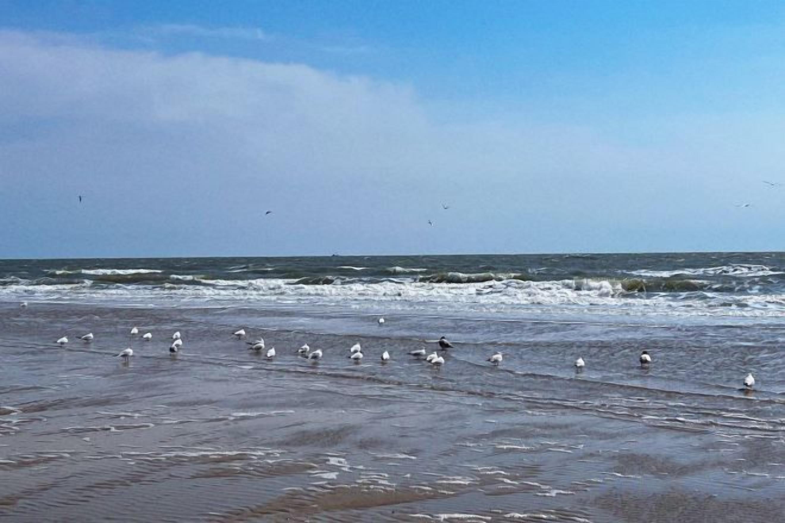 Playa