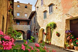 Un vicolo stretto con edifici in pietra, portali ad arco e piante in vaso.