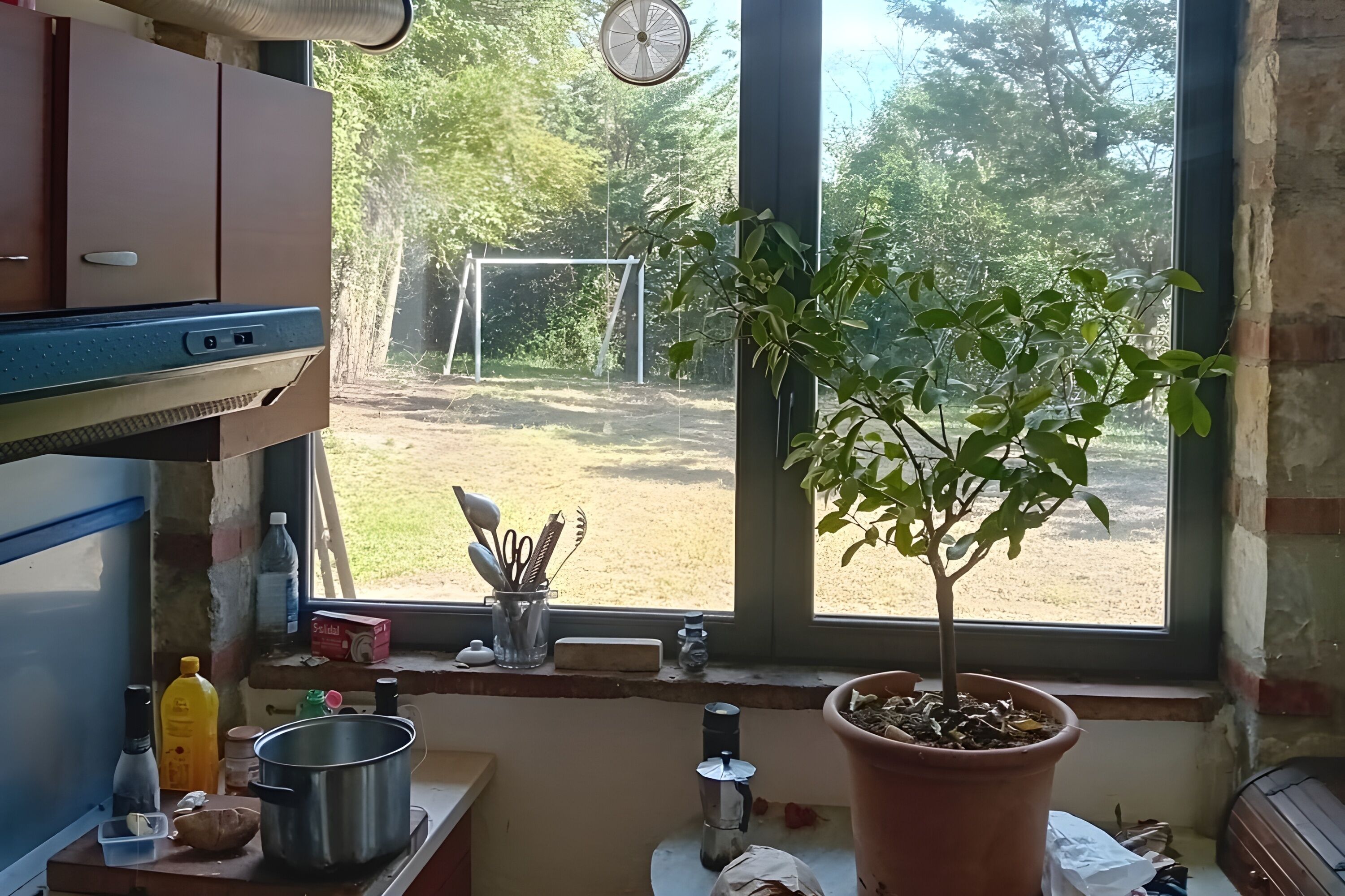 A kitchen with a window view of a backyard, a potted plant, and various kitchen items on the counter.