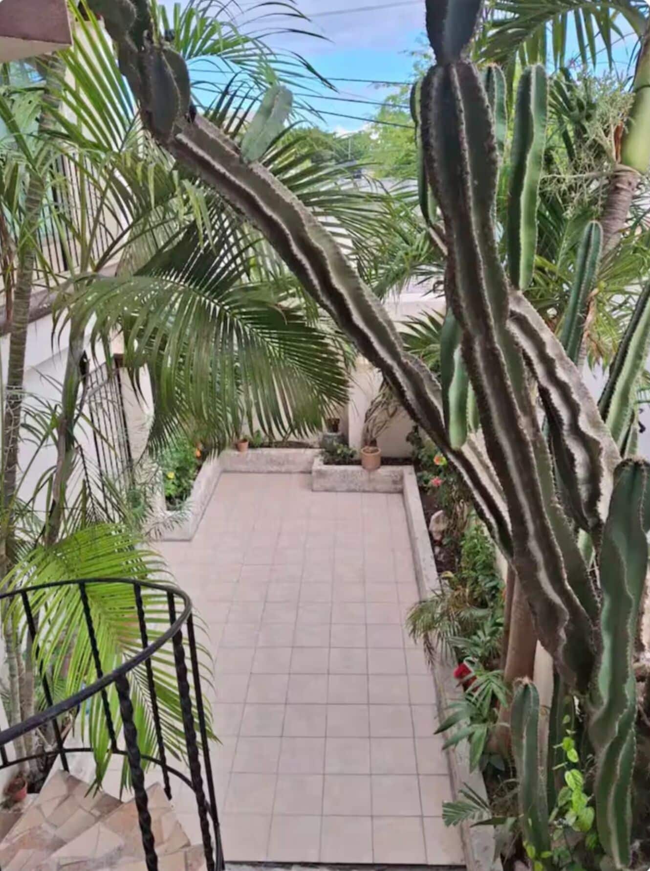 Eine Treppe führt zu einer mit Fliesen belegten Terrasse, umgeben von Kakteen und Palmen.