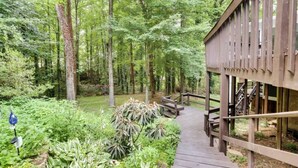 Una terraza de madera que conduce a un edificio con ventanas amplias, rodeado de un bosque denso.