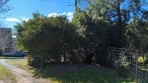 A dirt path leading to a fenced area with dense trees and a clear sky.
