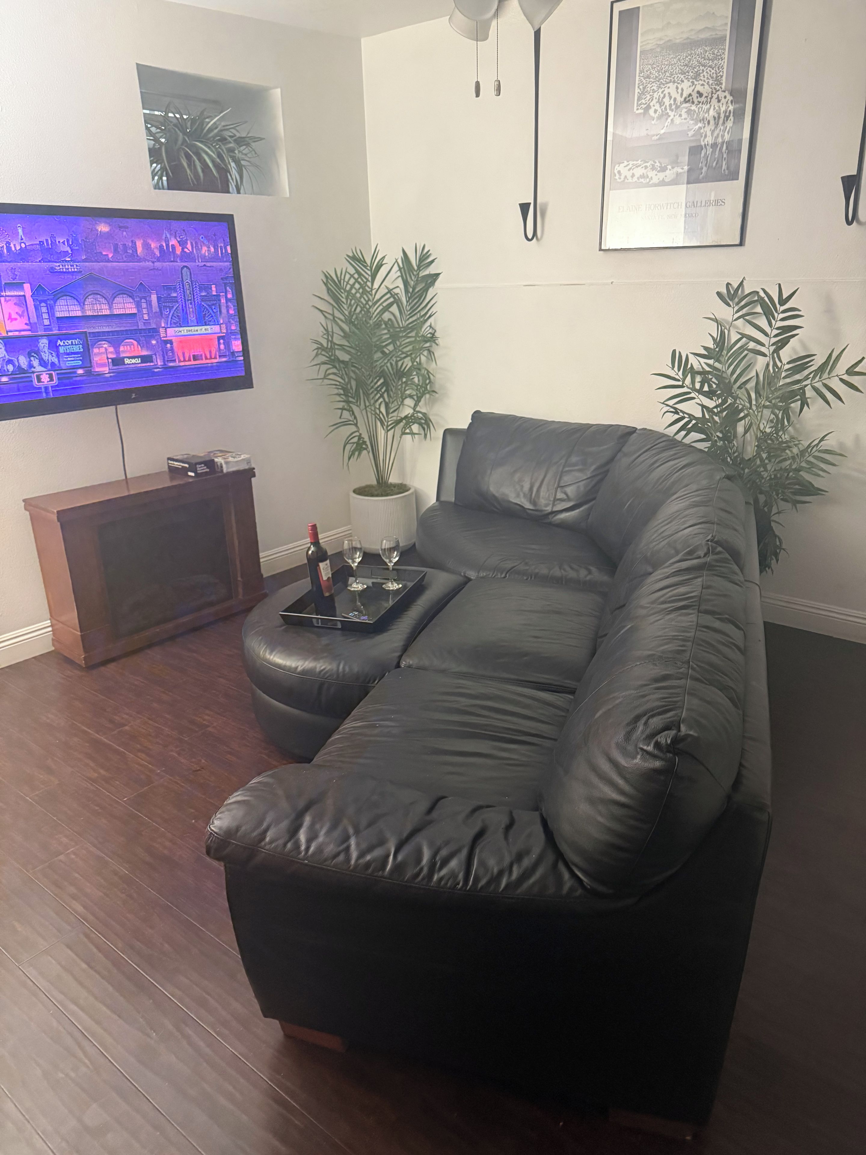 A living room with a black leather sofa, a flat-screen TV, a small table with a bottle and glasses, and two potted plants.