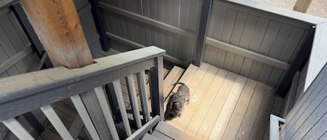 A wooden staircase with a metal handrail leading to a covered outdoor area.