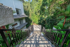 Eine Treppe führt zu einem Gebäude, das von üppigem Grün umgeben ist.
