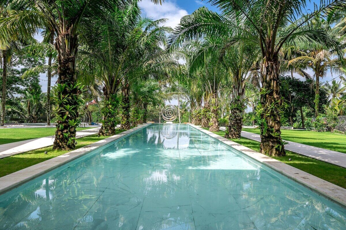 Ein Pool mit glasklarer, blauer Wasserfläche, umgeben von Palmen und einem gepflegten Rasen.