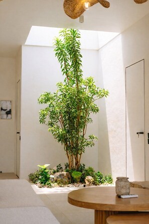 A room with a large indoor plant, a round wooden table, and a door. - Minimalist 3BR Villa w Pool+Beach Access • Ungasan (Badung Regency)