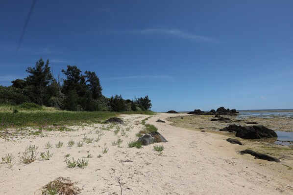 Beach - Vrbo Property (奄美市)