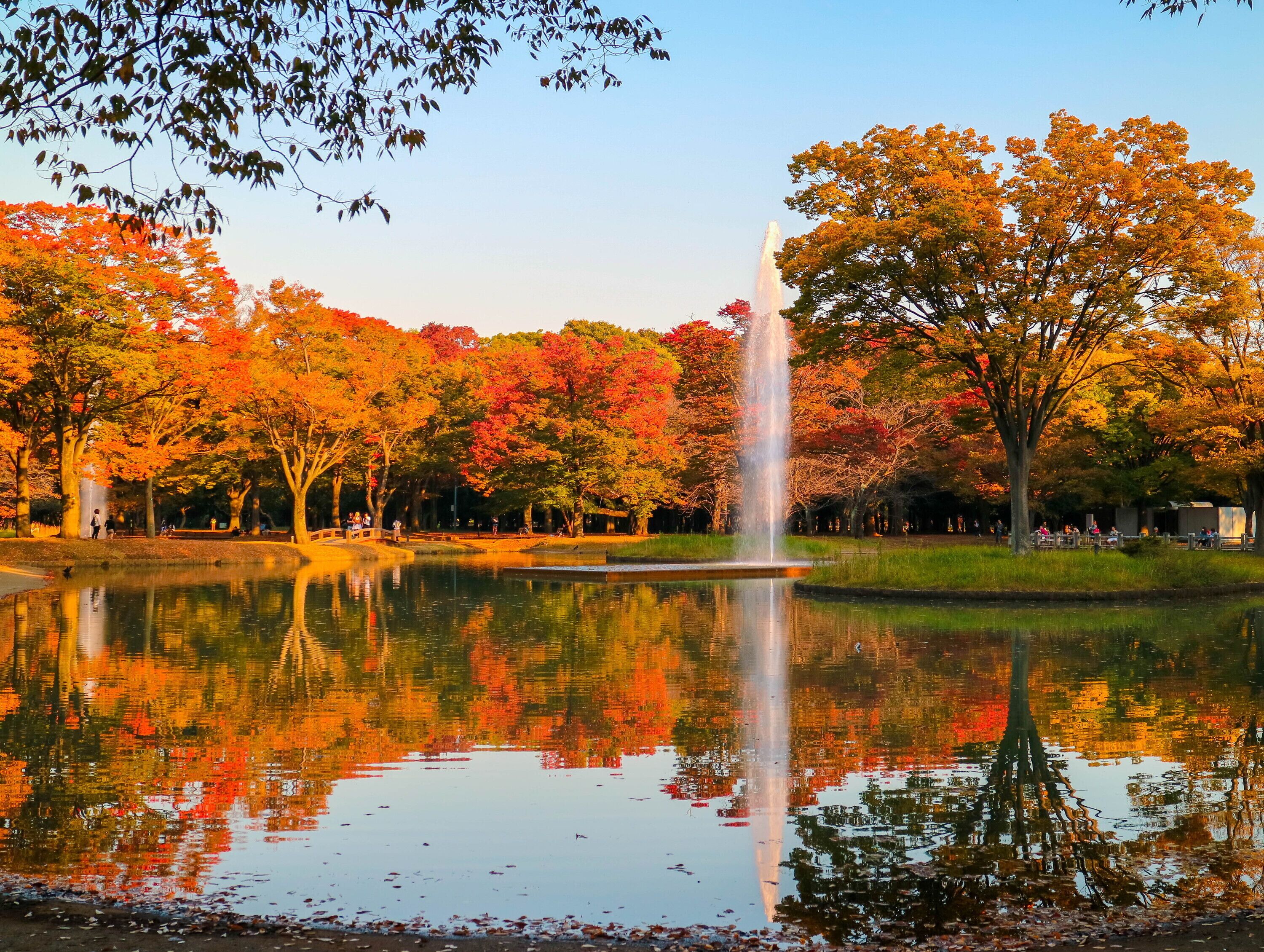 A tranquil park with a fountain, trees, and a calm pond reflecting the surroundings.