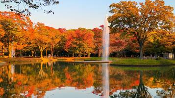 A tranquil park with a fountain, trees, and a calm pond reflecting the surroundings.