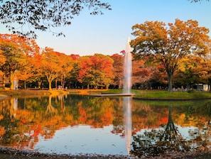 A tranquil park with a fountain, trees, and a calm pond reflecting the surroundings.