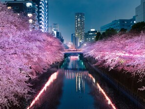 A nighttime view of a cityscape with a waterway flanked by cherry blossom trees. - APA Hotel Shibuya Ekimae (Tokyo)