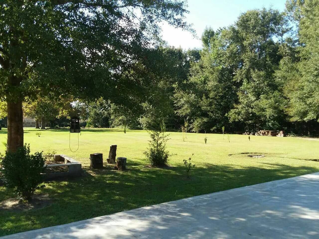 Un parc doté d’une allée pavée, d’arbres et d’une pelouse.