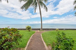 A pathway leading to a beach with a palm tree and greenery on either side.