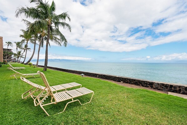 A beachfront with lounge chairs, palm trees, and a stone wall.
