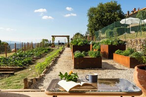 Un jardín con camas elevadas, una pérgola y una mesa con un libro y una taza.