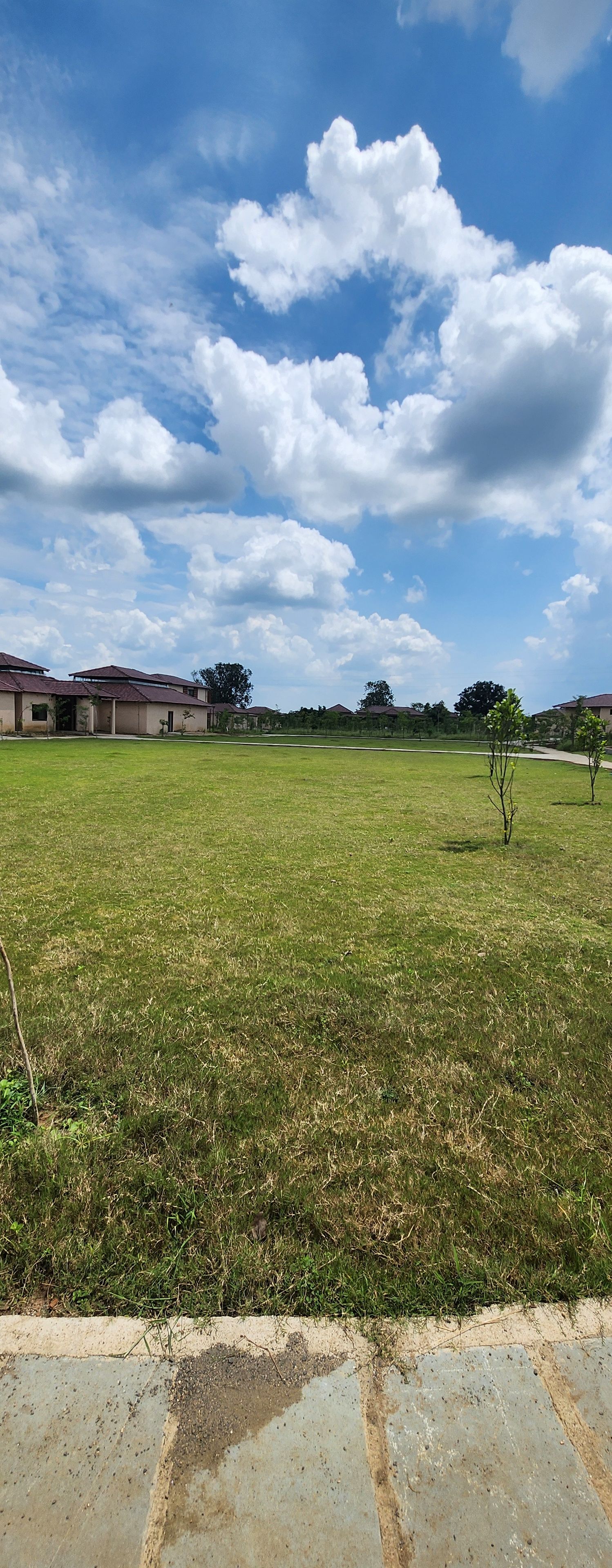 A grassy field with a paved walkway in the foreground, leading to a row of houses with red roofs.