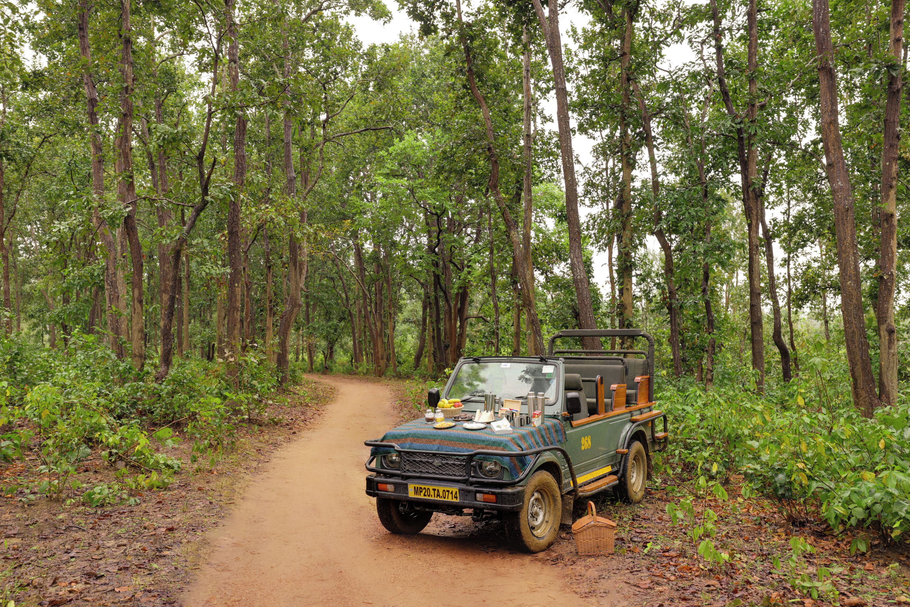 Um veículo todo-terreno verde estacionado em um caminho de terra em uma floresta.