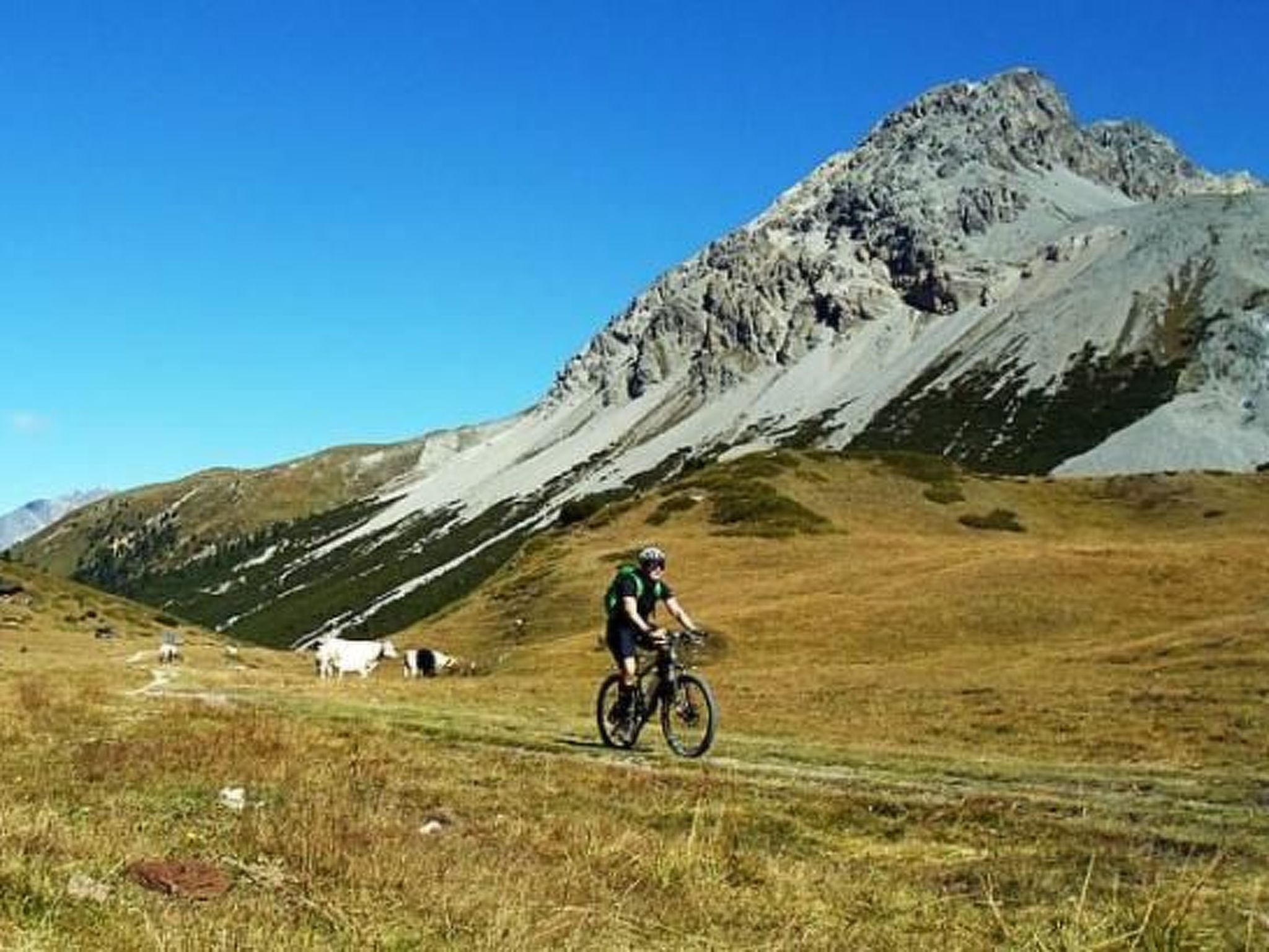 Un ciclista da mountain bike su un sentiero, con una montagna sullo sfondo.